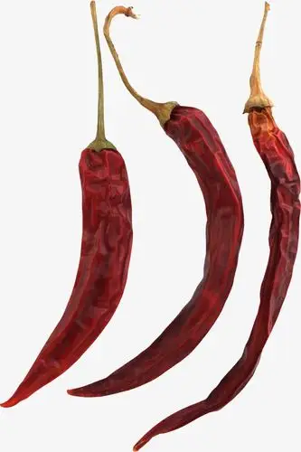 干辣椒【高清效果元素png素材】-90设计