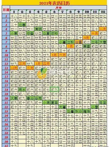 2021是什么年2021生肖图表波色表图高清图