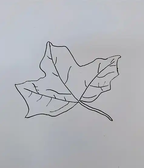 怎么 strong>画梧桐树简笔画 /strong>