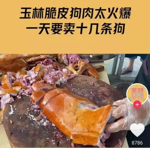狗肉生意背后的灰色产业链毒镖偷盗当街抢劫每年吃掉1500万条