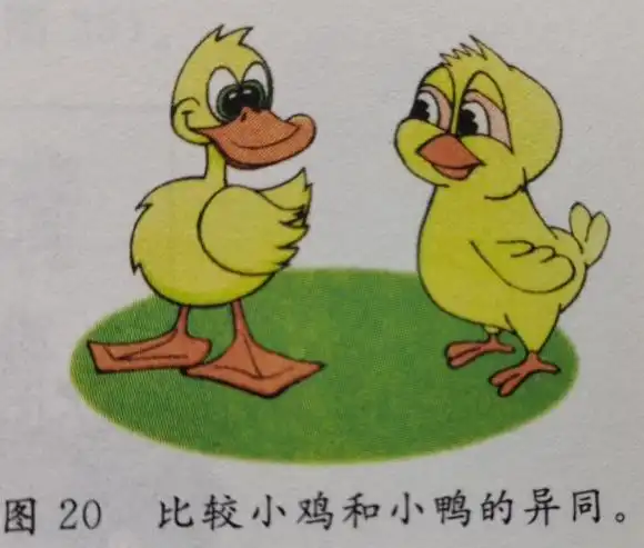 杨屯镇中心幼儿园"幼小衔接成长营"第四期 - 美篇