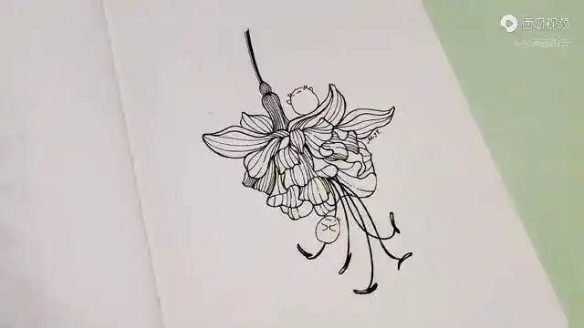 简笔画过程视频用一支中性笔教你画一朵倒挂金钟花