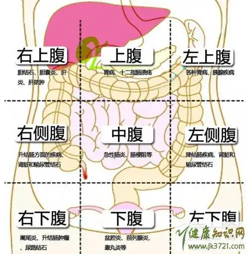 上腹部疼痛的原因,上腹部隐痛是怎么回事