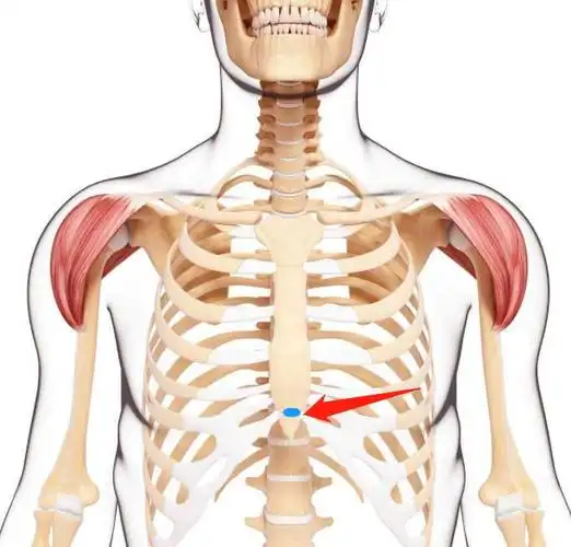 紧锁,注意力放在颈部以上, /p> p>试着舒展眉头,把注意力放在胸骨下