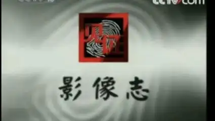 【cctv10】央视科教频道《见证·影像志》插曲及片尾曲第一首《猪猪侠