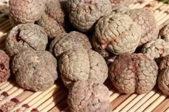 草蔻与肉蔻的区别