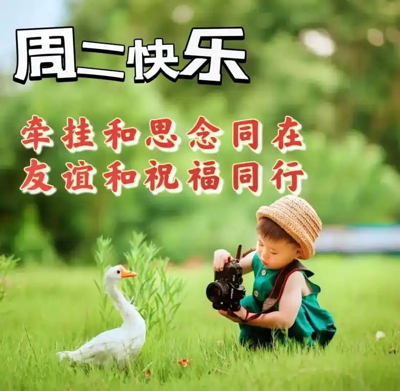 早上好暖心问候最在乎的人祝福送给有缘的人祝大家周二愉快