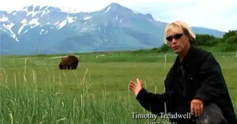 爱熊情侣保护熊13年最终被活活吃掉死前录音为何遭到禁播