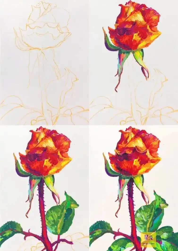油画棒花卉绘画玫瑰花手绘步骤教程.