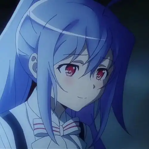 可塑性记忆艾拉