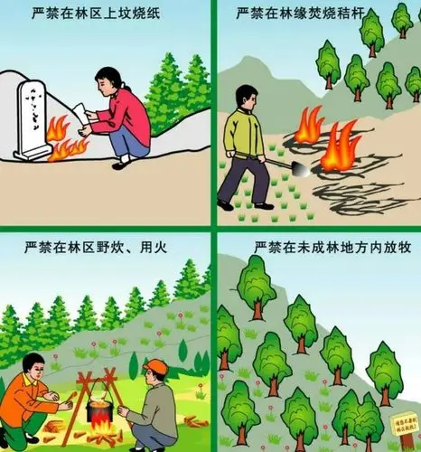 森林防火,人人有责——高阳小学校附属幼儿园中二班