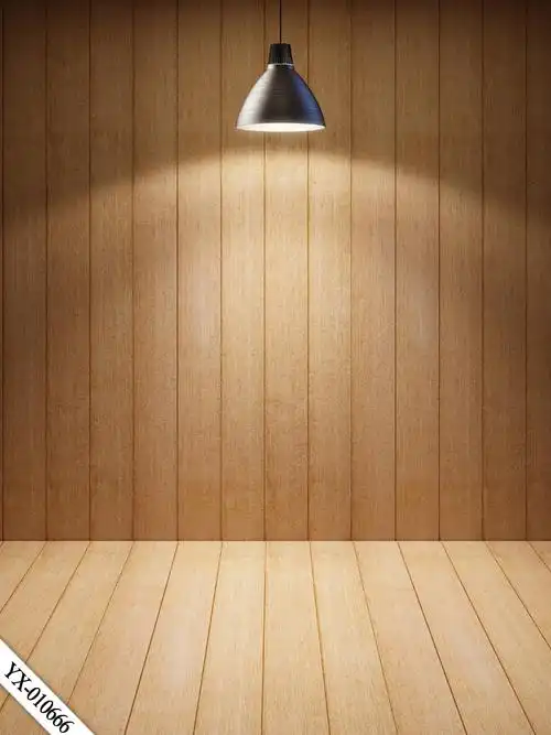 直播主播网红服装拍照背景布3d摄影拍摄抖音直播间装饰ins背景墙黑色