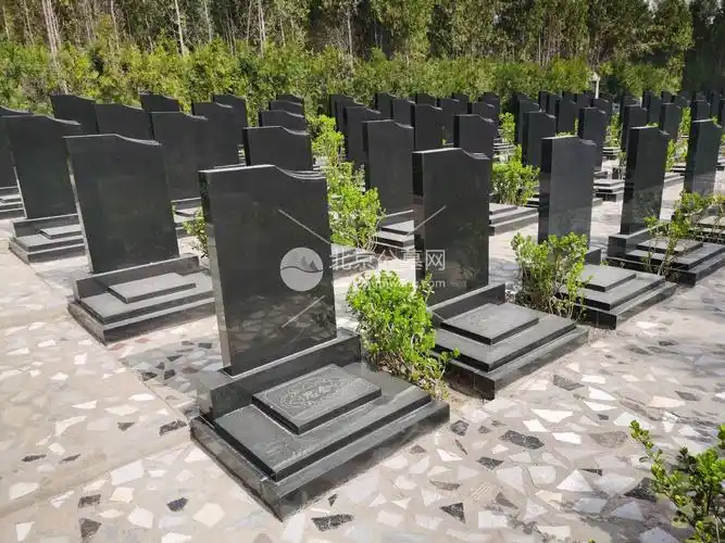 行业动态_北京公墓网