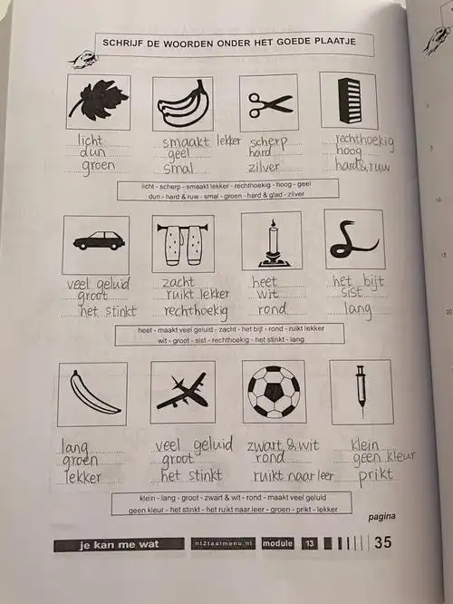 荷兰语基础练习