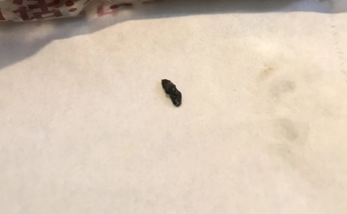 昨天买的面包里惊现一颗老鼠屎!