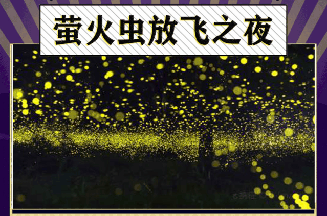 清凉玩转20 水上项目,还有萤火虫陪你看星星!