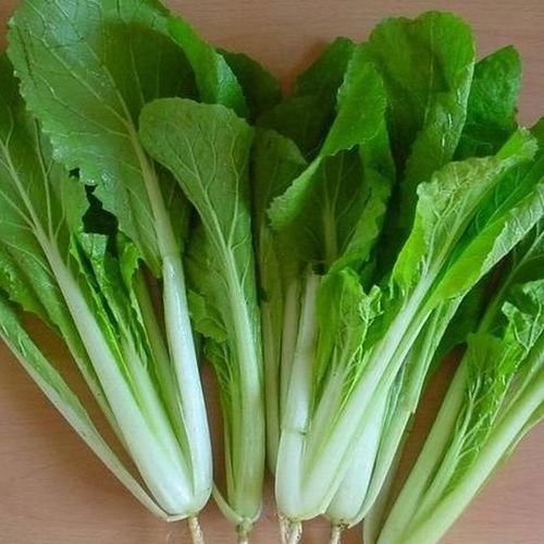 绿源禾心 有机小白菜 大田生长 新鲜蔬菜 现拨现发货 500g