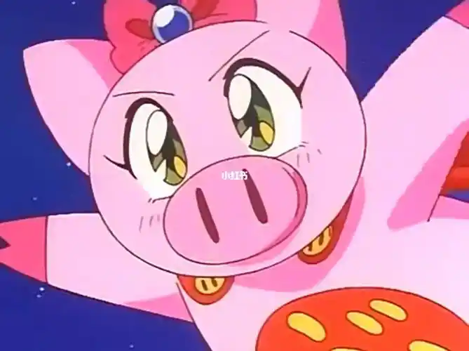 是我最爱的飞天少女猪事丁宝妮猪猪