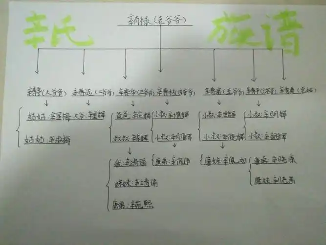 写美篇  在此次绘制家谱的过程中,同学们通过询问长辈查阅族谱等方式