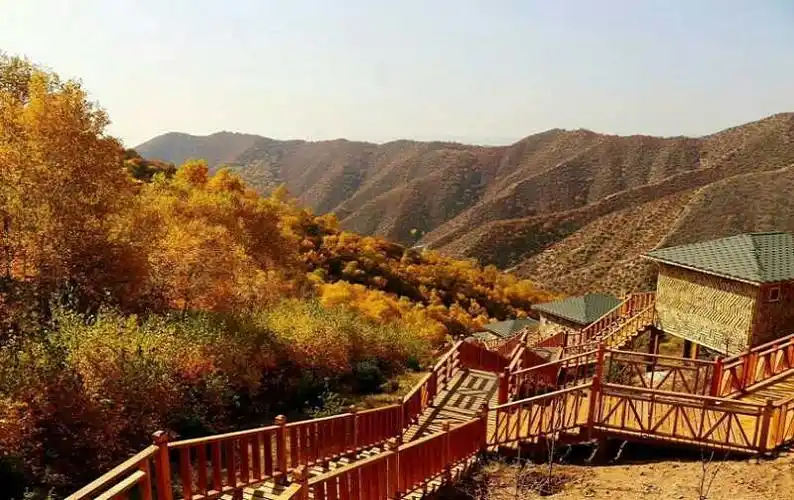 二龙什台国家森林公园