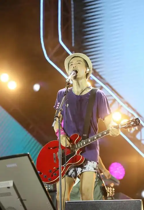 朴树深紫t搭花裤献唱音乐节