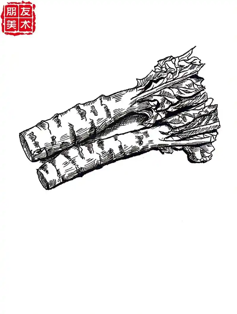 春来当吃鲜,莴笋正当时.你知道莴笋都可以 - 抖音