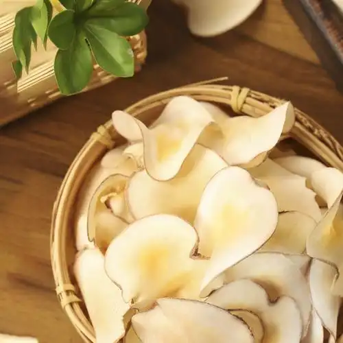 海底椰新鲜海底椰片50g