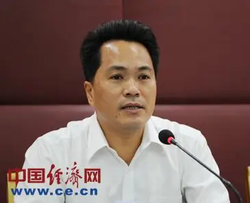 向先全辞去重庆市南岸区人大常委会主任职务