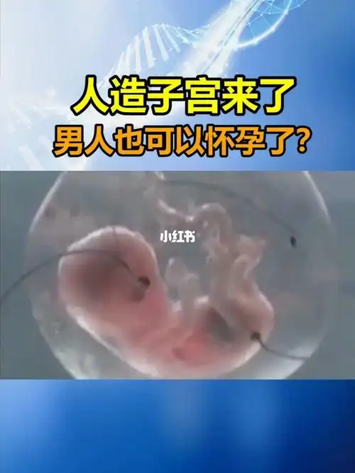 如果男人也能怀孕,你会让老公生孩子吗?_怀孕_生育_母婴_孕产经验