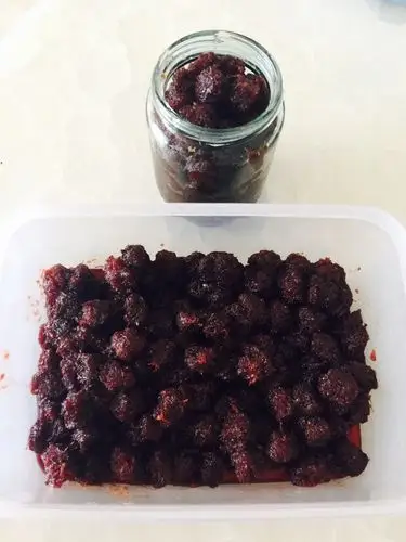 瑞姐私房杨梅糖