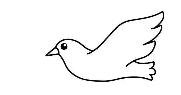如何画鸽子简笔画画法步骤图解教程