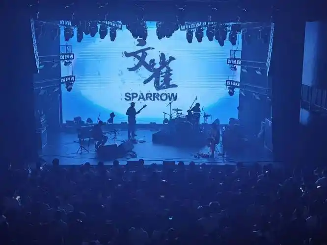 文雀乐队专访|京城后摇滚,春来闻雀归