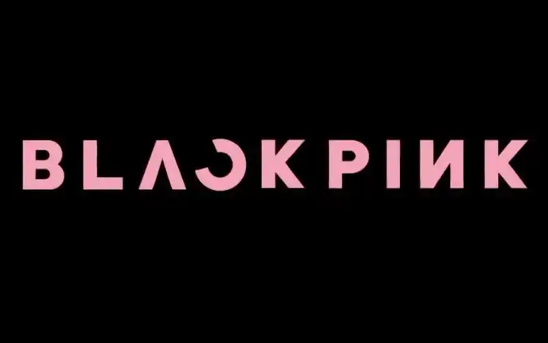 [姬翻] blackpink粉墨日本巡回演唱会大阪京瓷巨蛋场中字dvd