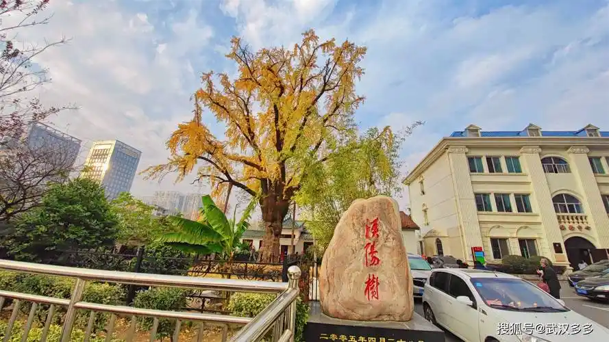 近日武汉空气污染,难得出现蓝天白云,来到位于武汉市第五医院内的"