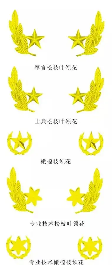 07式海军领花包括军官领花,士兵领花,夏常服领花,专业技术领花和专业