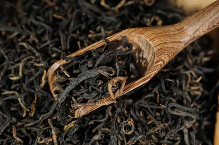 云南滇红凤庆古树红的正确冲泡方法