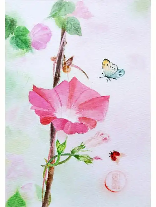 水彩牵牛花
