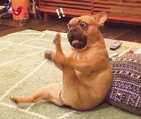 结果没想到,周姐在选秀时因为抢了个金铲铲,竟然遭到了另一名玩家的