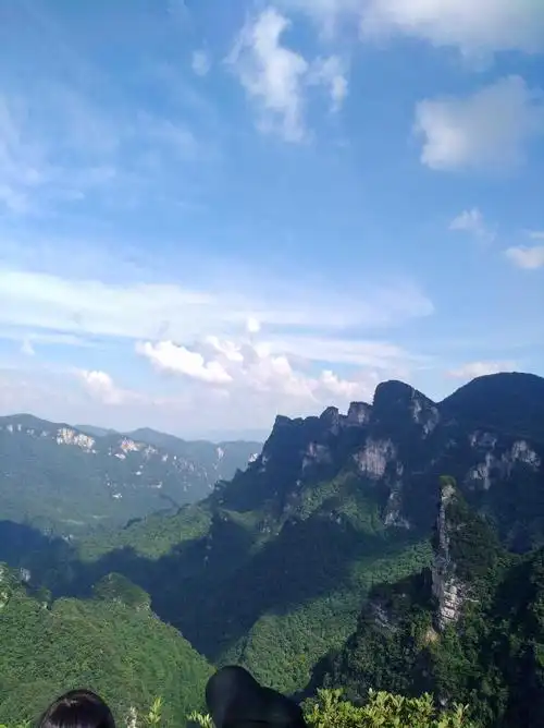 蚂蚱随行记 - 简书