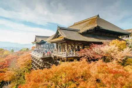 在京都清水寺图片