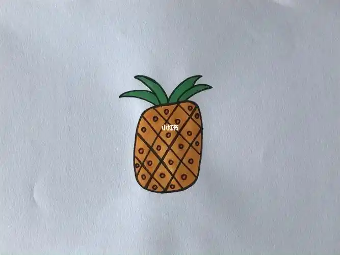 蔬菜水果简笔画菠萝