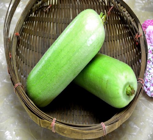 丝瓜蔬菜新鲜肉鲜肉本地湖南农家自产时令产地其它