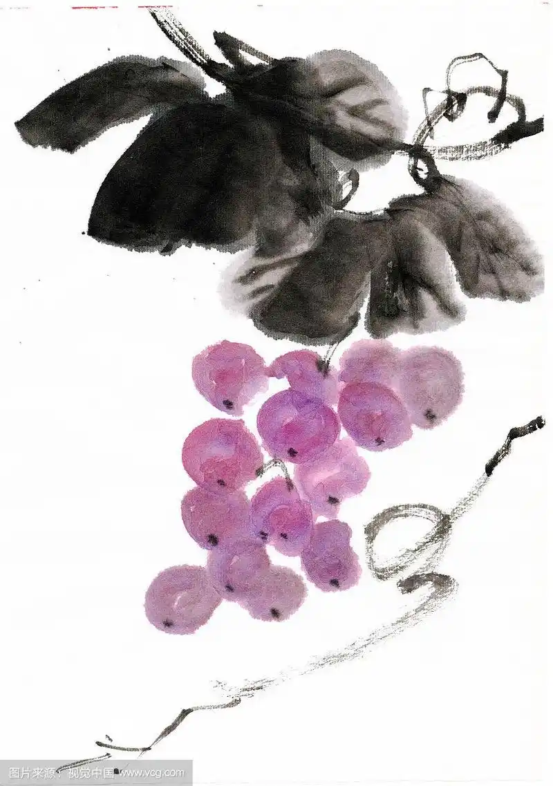 水墨中国画葡萄