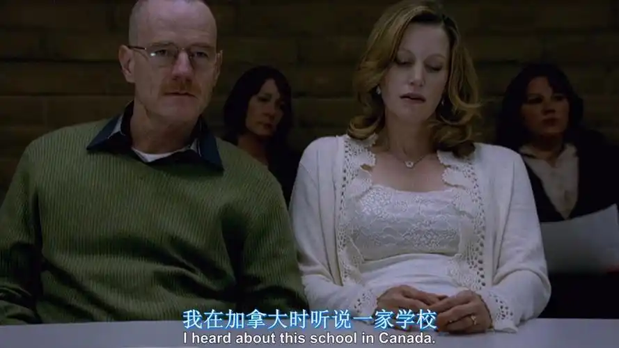 绝命毒师第一季7-1