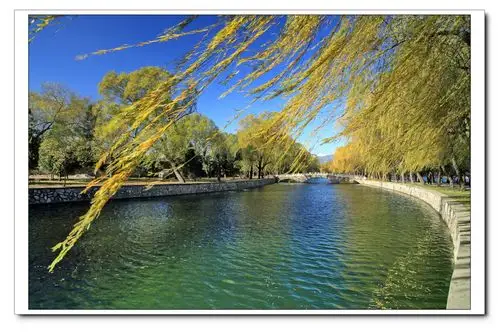 依依秋叶舞秋风