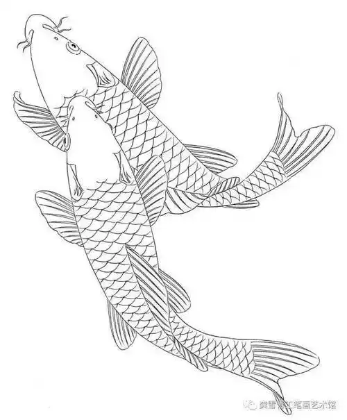 龚雪青工笔《鲤鱼百态》实用白描_组合_造型_象征