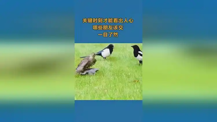 关键时刻才能看出人心哪些朋友该交哪些朋友不能交