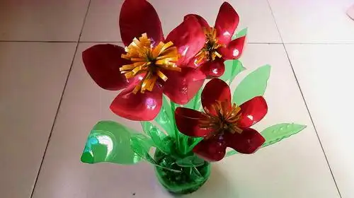 大桶的雪碧瓶子最有用了,做出来的花这么漂亮