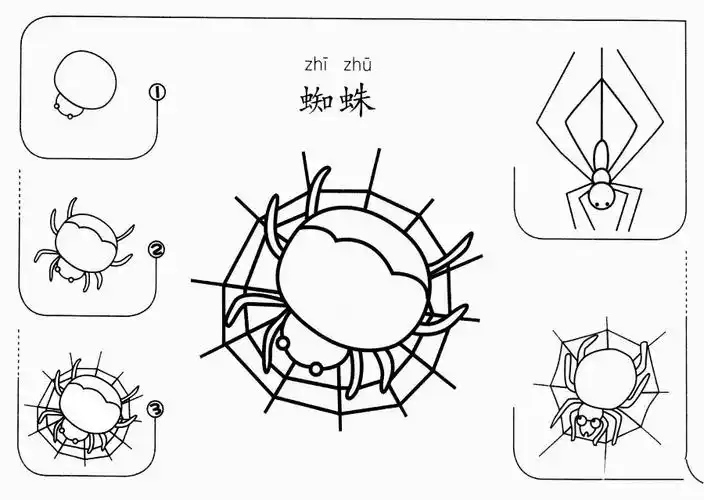 蜘蛛怎么画