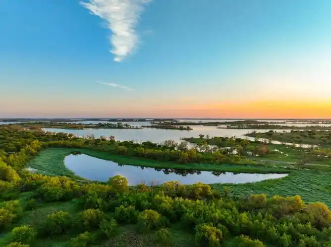 白城市林草湿生态连通工程成效凸显_建设_绿化_草原